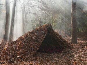 بوشکرفت (Bushcraft) چیست؟